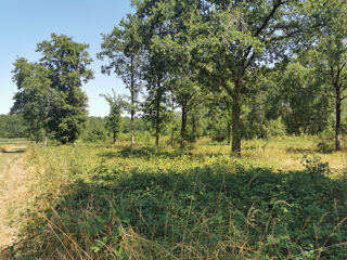  Terrain à vendre 5160 m²