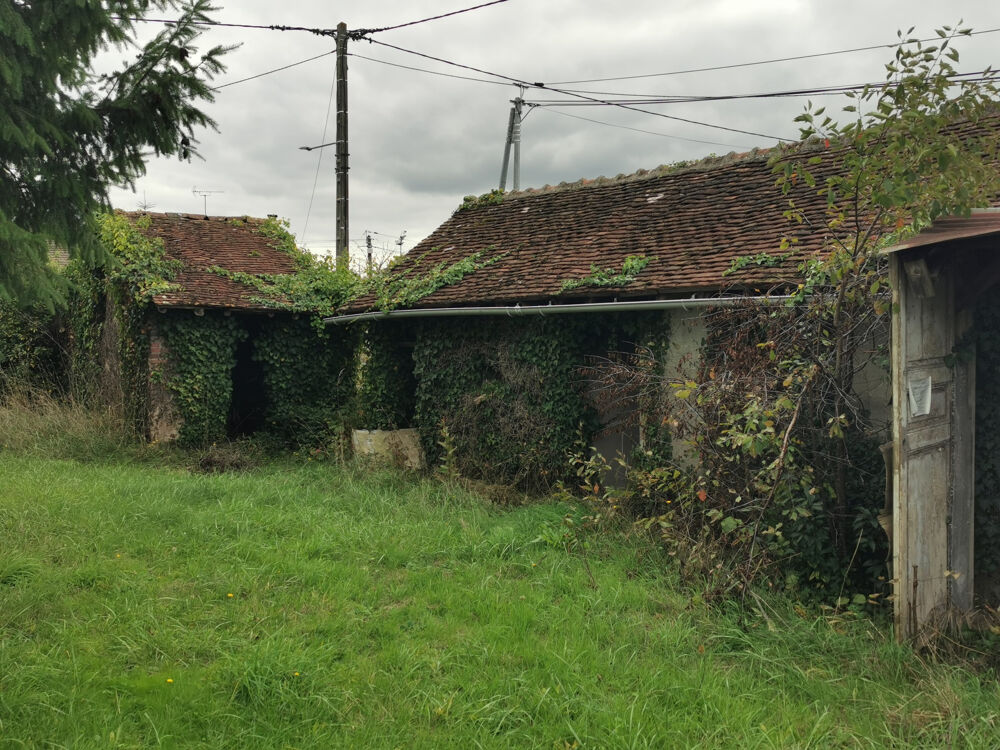 Vente Maison Fermette a restaurer sur 6500m2 de terrain constructible Romorantin lanthenay
