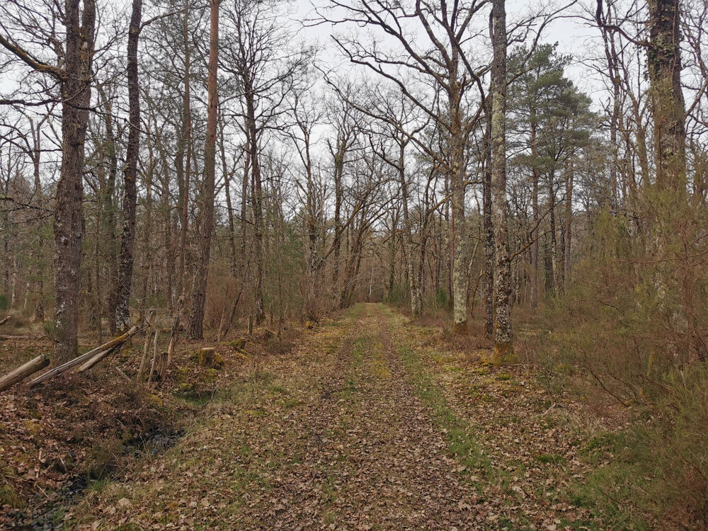 � vendre  Propri�t�/ch�teau Villefranche-sur-Cher (41200)