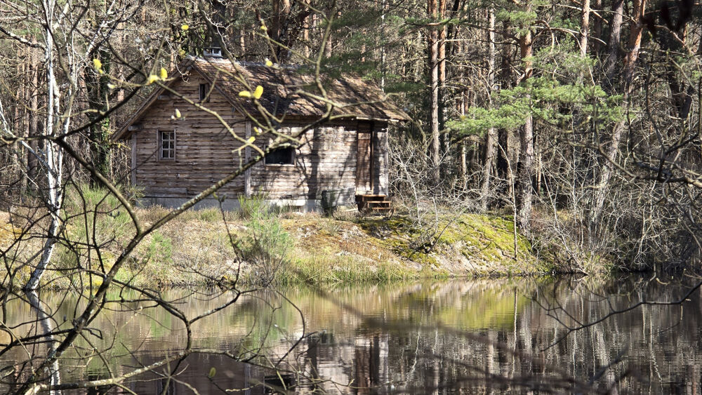 � vendre  Propri�t�/ch�teau Villefranche-sur-Cher (41200)