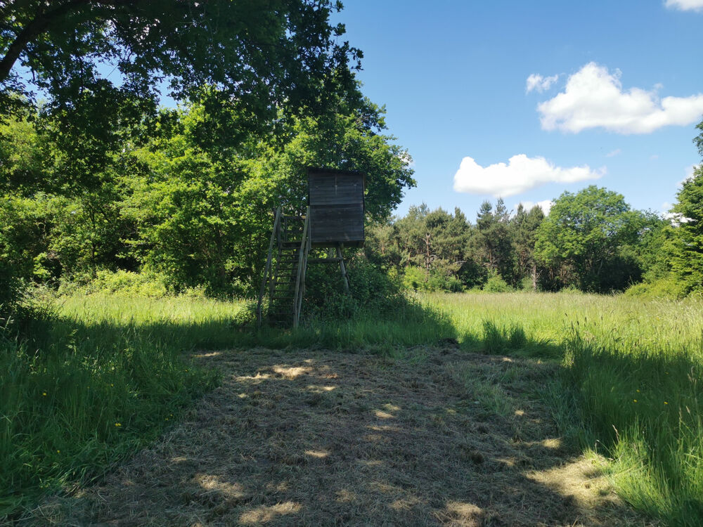 � vendre  Propri�t�/ch�teau Lusigny (03230)