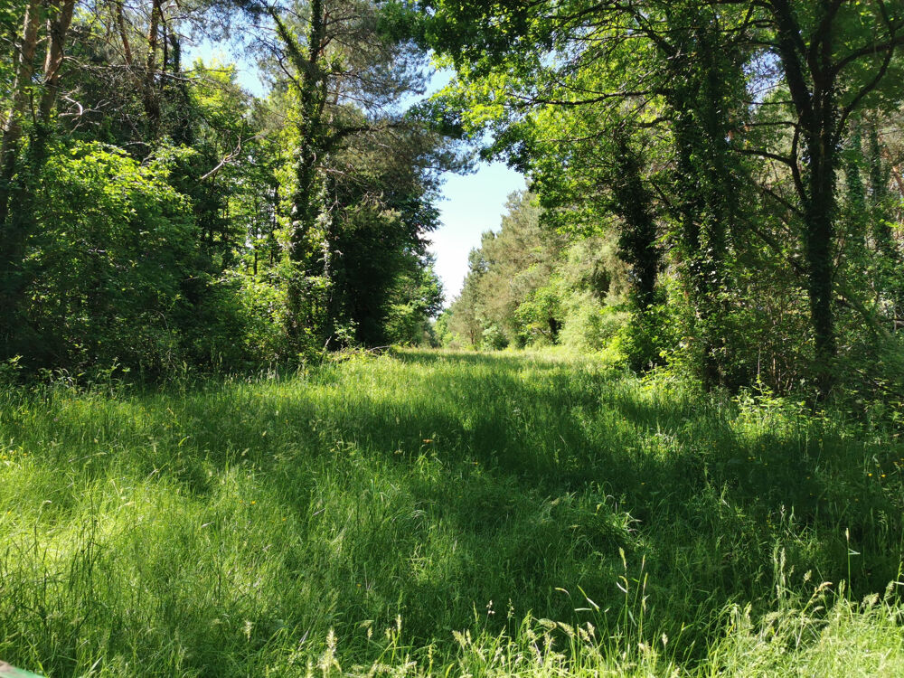 � vendre  Propri�t�/ch�teau Lusigny (03230)