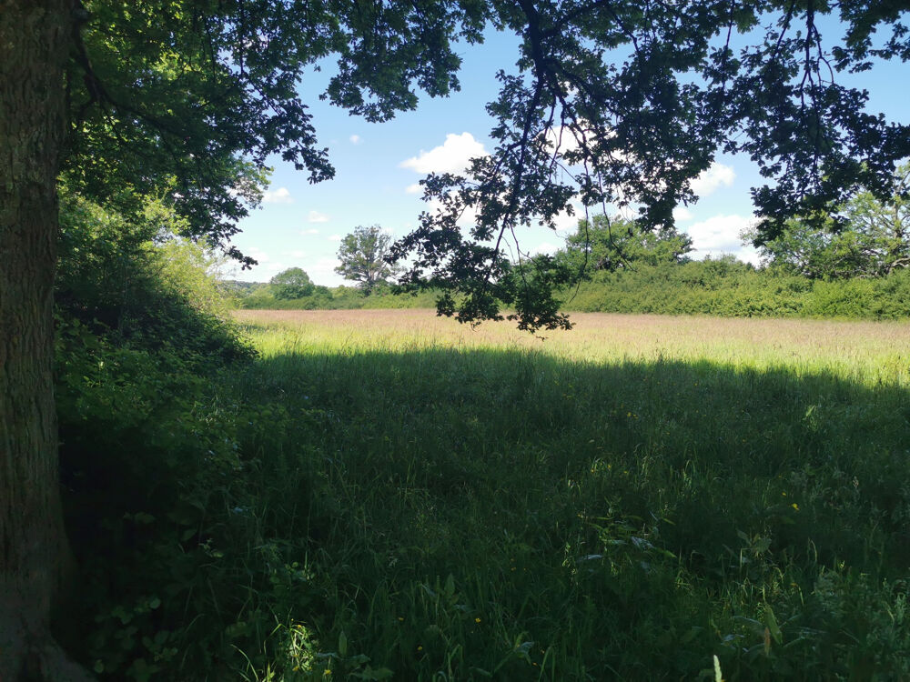 � vendre  Propri�t�/ch�teau Lusigny (03230)