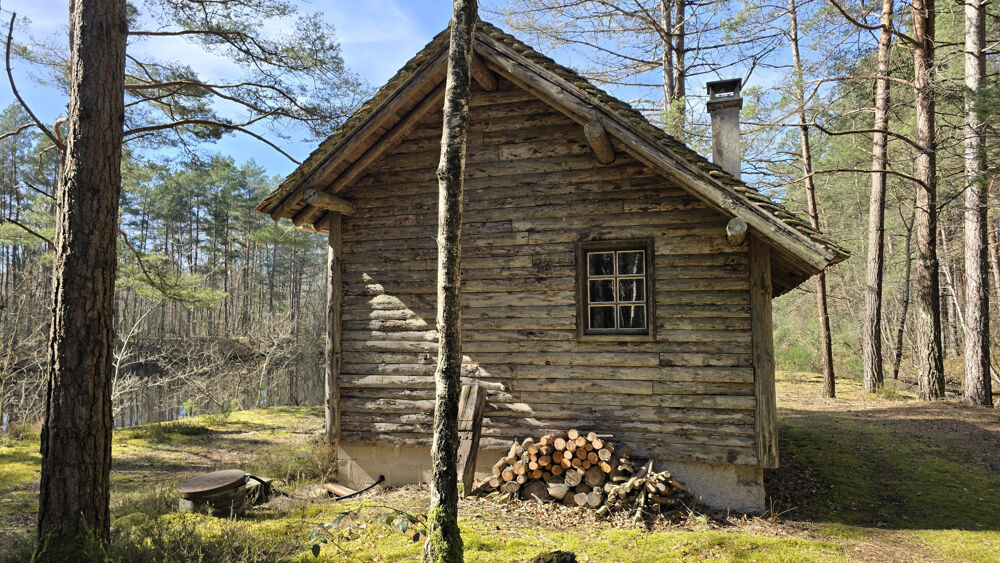 � vendre  Propri�t�/ch�teau Villefranche-sur-Cher (41200)