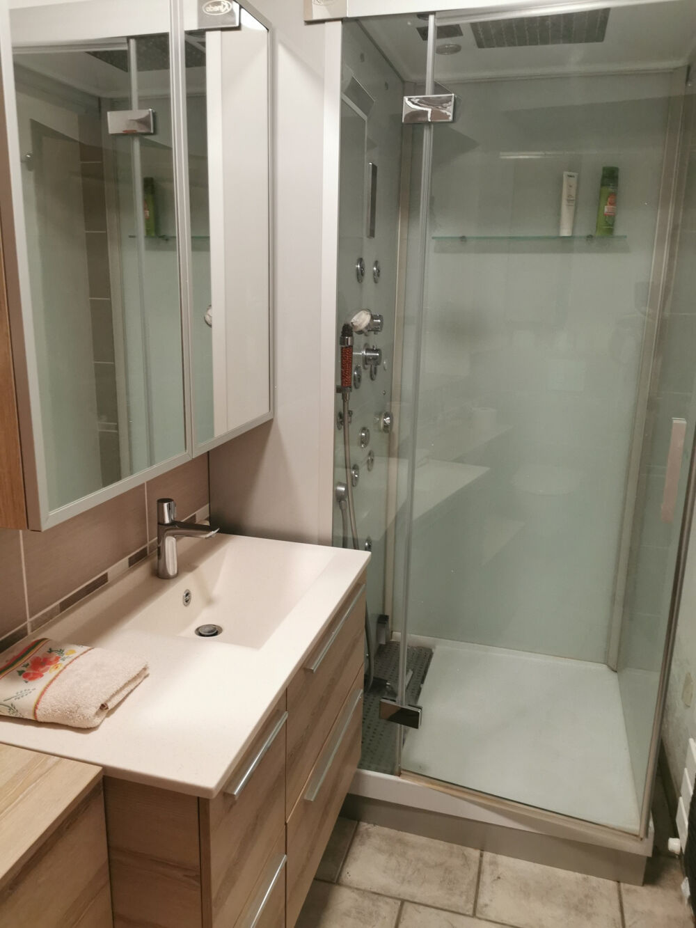 � vendre  Propri�t�/ch�teau Courmemin (41230)