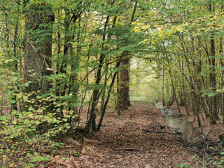  Terrain � vendre 460000 m�
