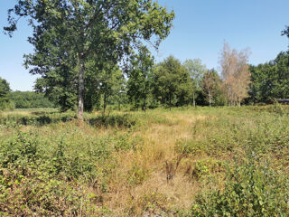  Terrain à vendre 5160 m²