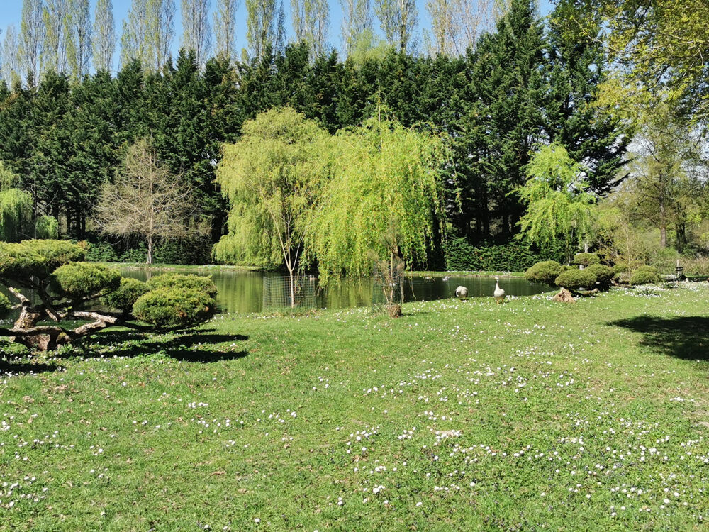 � vendre  Propri�t�/ch�teau Romorantin-Lanthenay (41200)