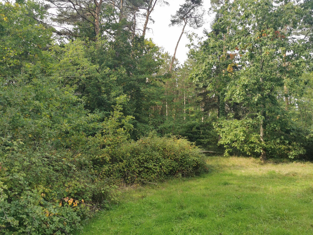 � vendre  Propri�t�/ch�teau Mennetou-sur-Cher (41320)