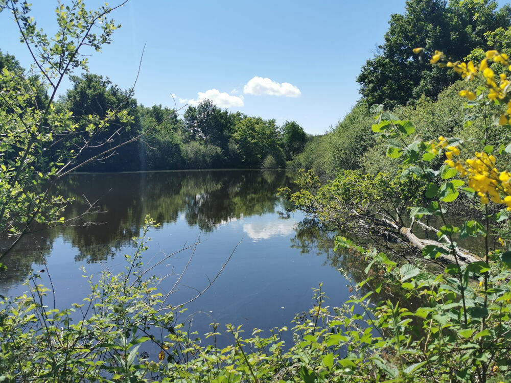 � vendre  Propri�t�/ch�teau Lusigny (03230)