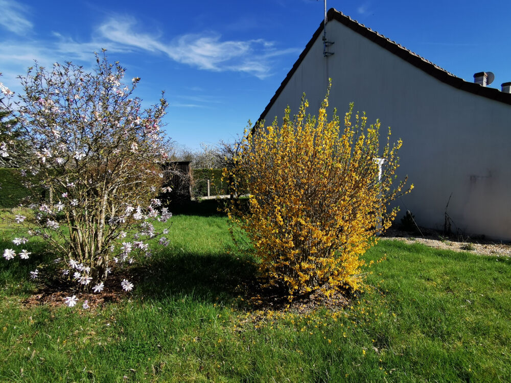 BEAU PAVILLON DE PLAIN PIED