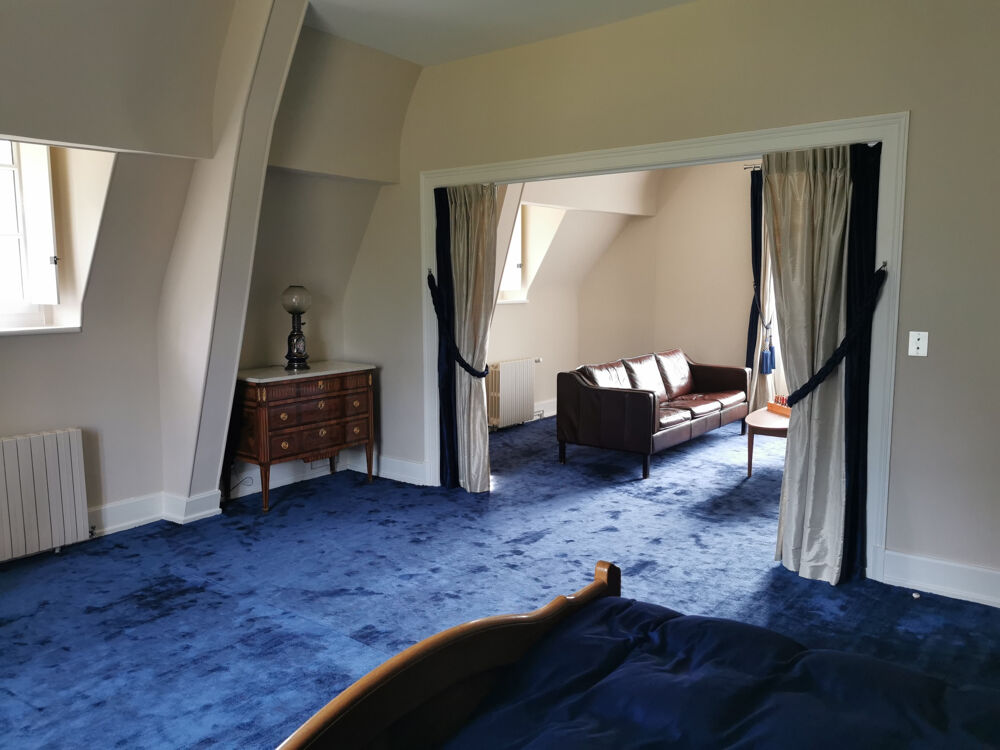 � vendre  Propri�t�/ch�teau Mennetou-sur-Cher (41320)