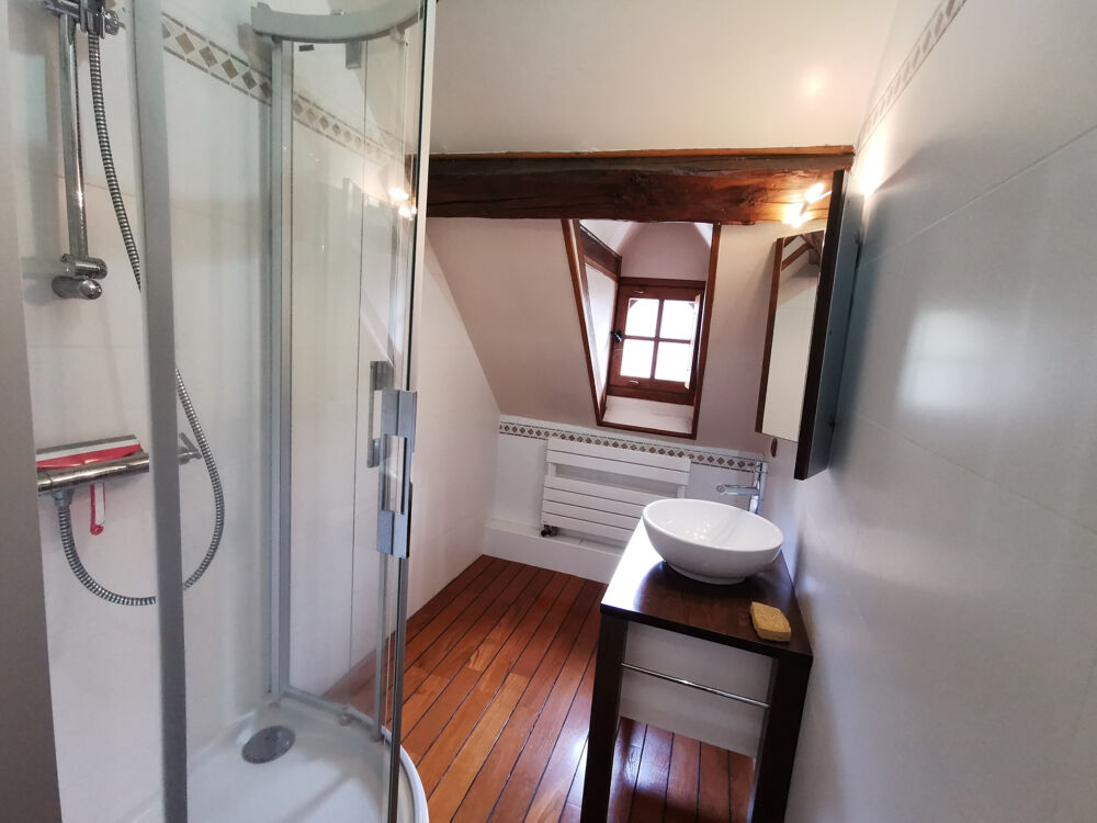 � vendre  Propri�t�/ch�teau Villefranche-sur-Cher (41200)