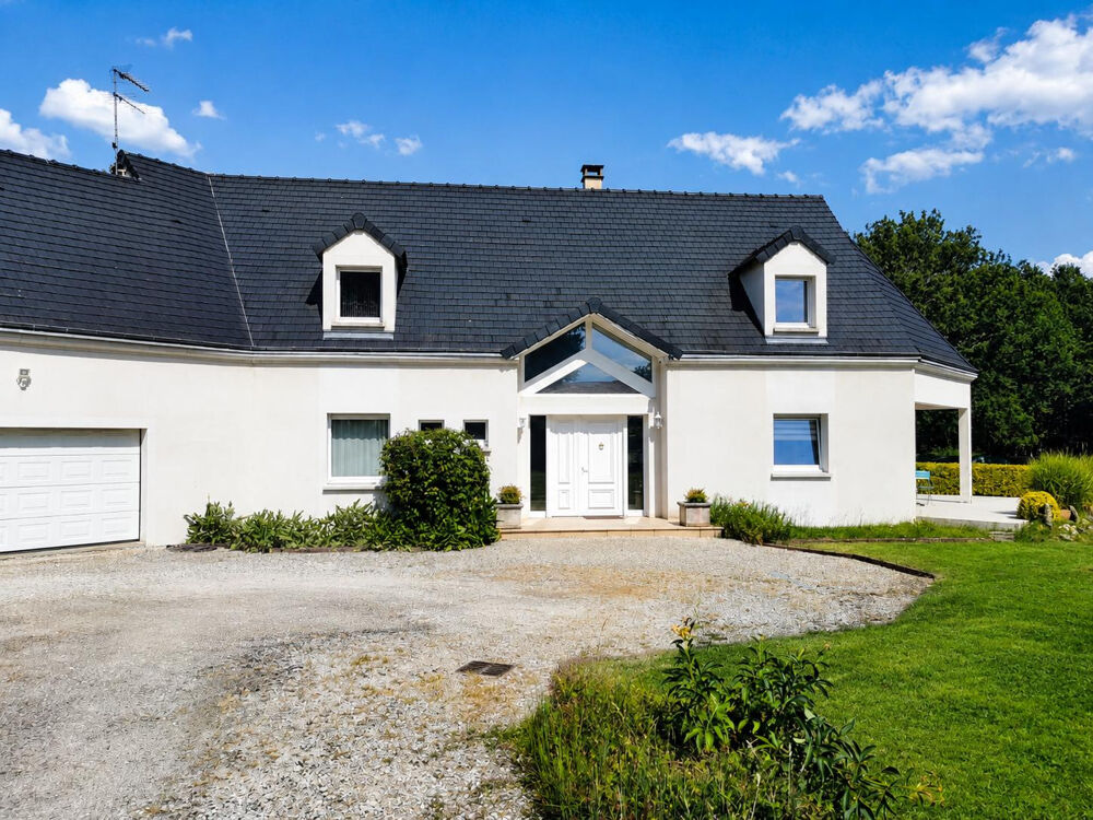 ROMORANTIN NORD BELLE MAISON CONTEMPORAINE SUR PARCELLE DE 3 304 M2