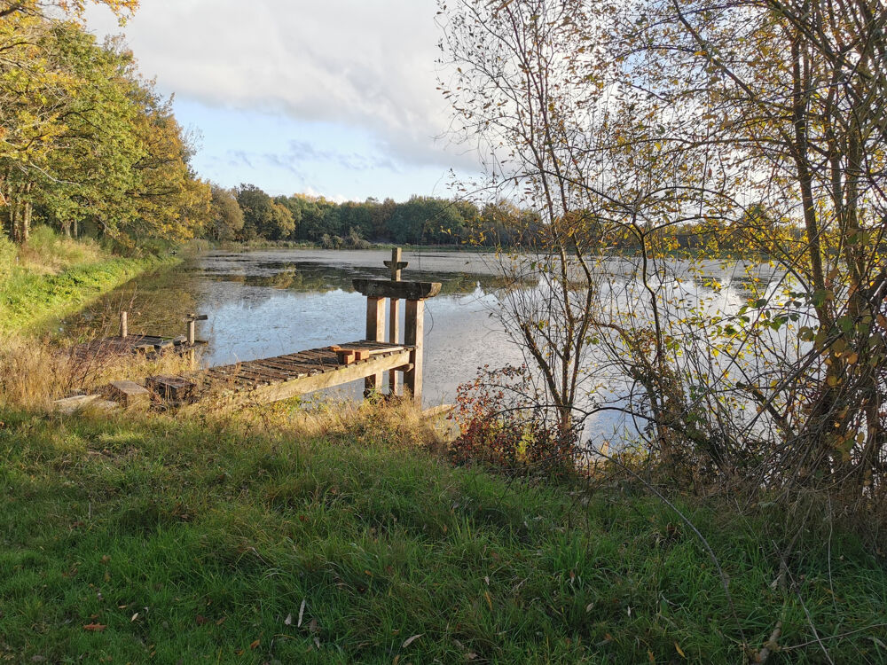 � vendre  Propri�t�/ch�teau Courmemin (41230)