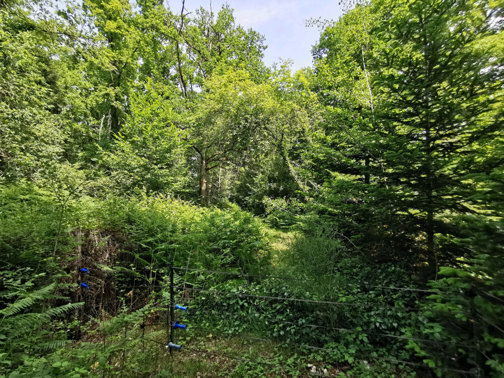 � vendre  Propri�t�/ch�teau Nan�ay (18330)