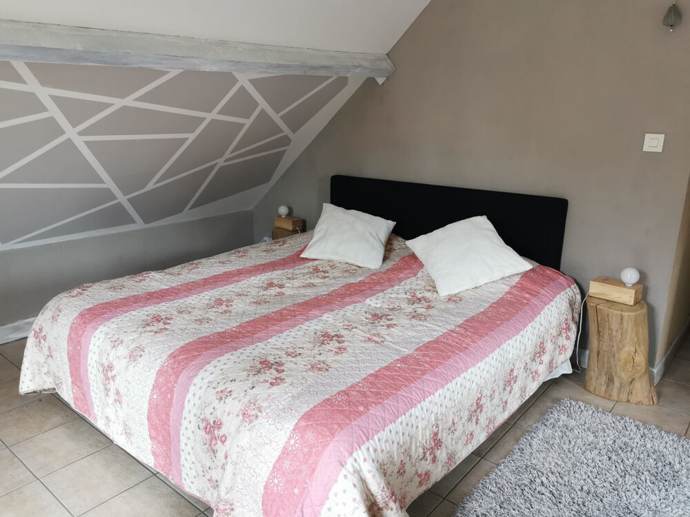 � vendre  Propri�t�/ch�teau Nan�ay (18330)