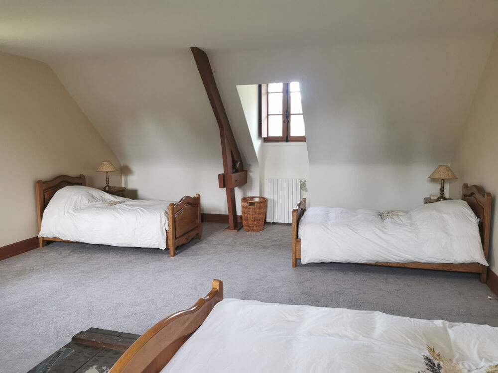 � vendre  Propri�t�/ch�teau Mennetou-sur-Cher (41320)