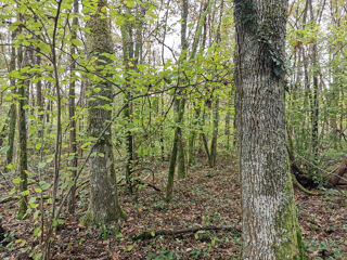  Terrain � vendre 460000 m�