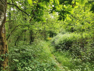  Terrain � vendre 7575 m�