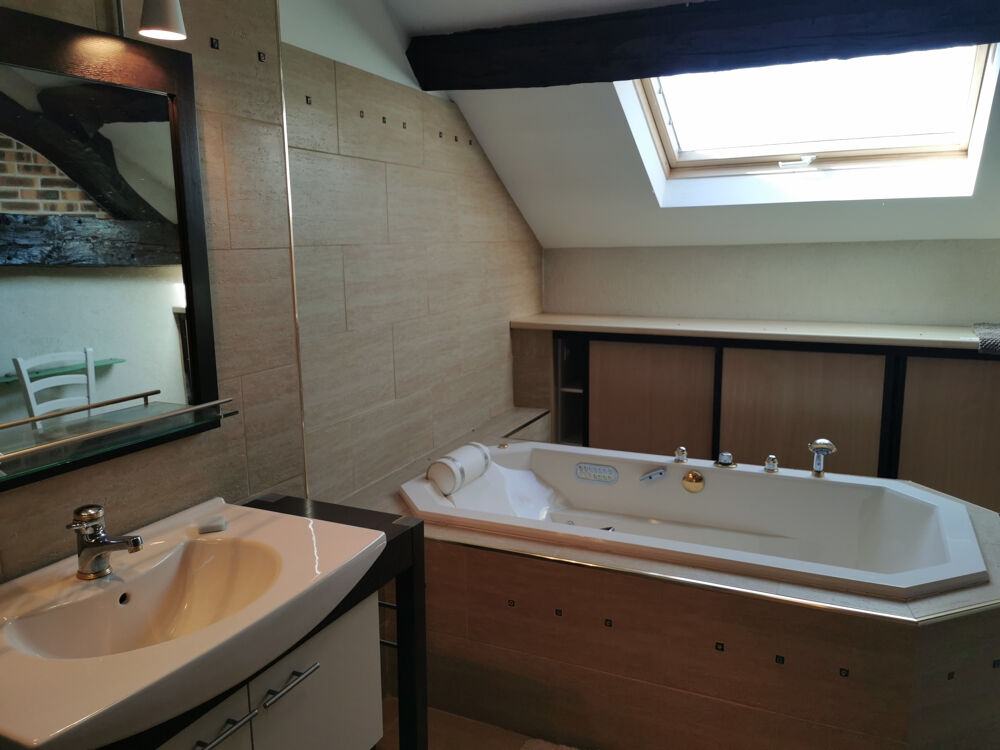 � vendre  Propri�t�/ch�teau Courmemin (41230)