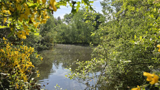  Maison � vendre 7 pi�ces 180 m�