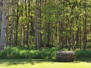  Propri�t�/ch�teau � vendre 5 pi�ces 133 m�