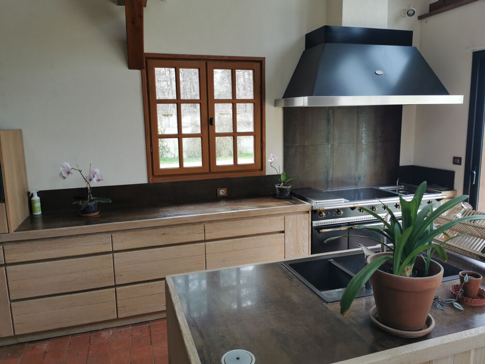 � vendre  Propri�t�/ch�teau Villefranche-sur-Cher (41200)