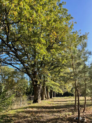  Propri�t�/ch�teau � vendre 9 pi�ces 240 m�