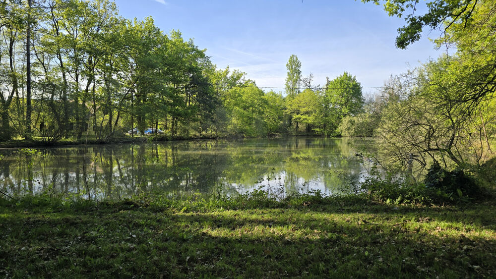 PROPRIÉTÉ AVEC ÉTANG ET PISCINE