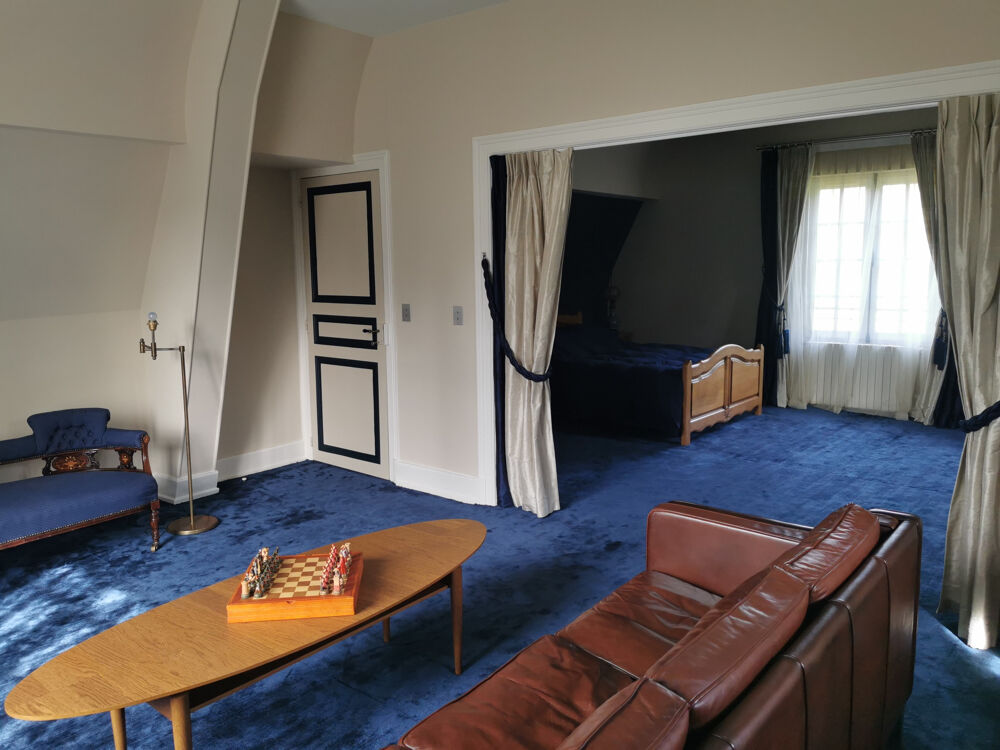 � vendre  Propri�t�/ch�teau Mennetou-sur-Cher (41320)