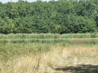  Terrain à vendre 5160 m²