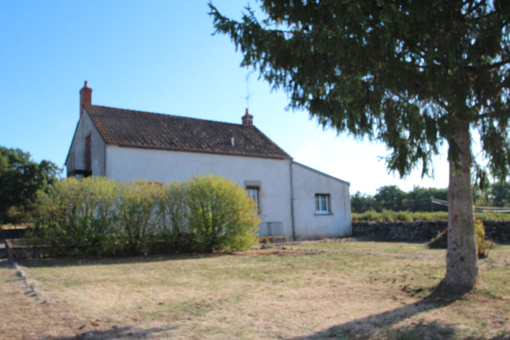 Vente Maison SOUGY SUR LOIRE, maison ancienne avec beau potentiel Sougy sur loire