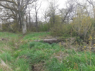  Terrain  vendre 2798 m