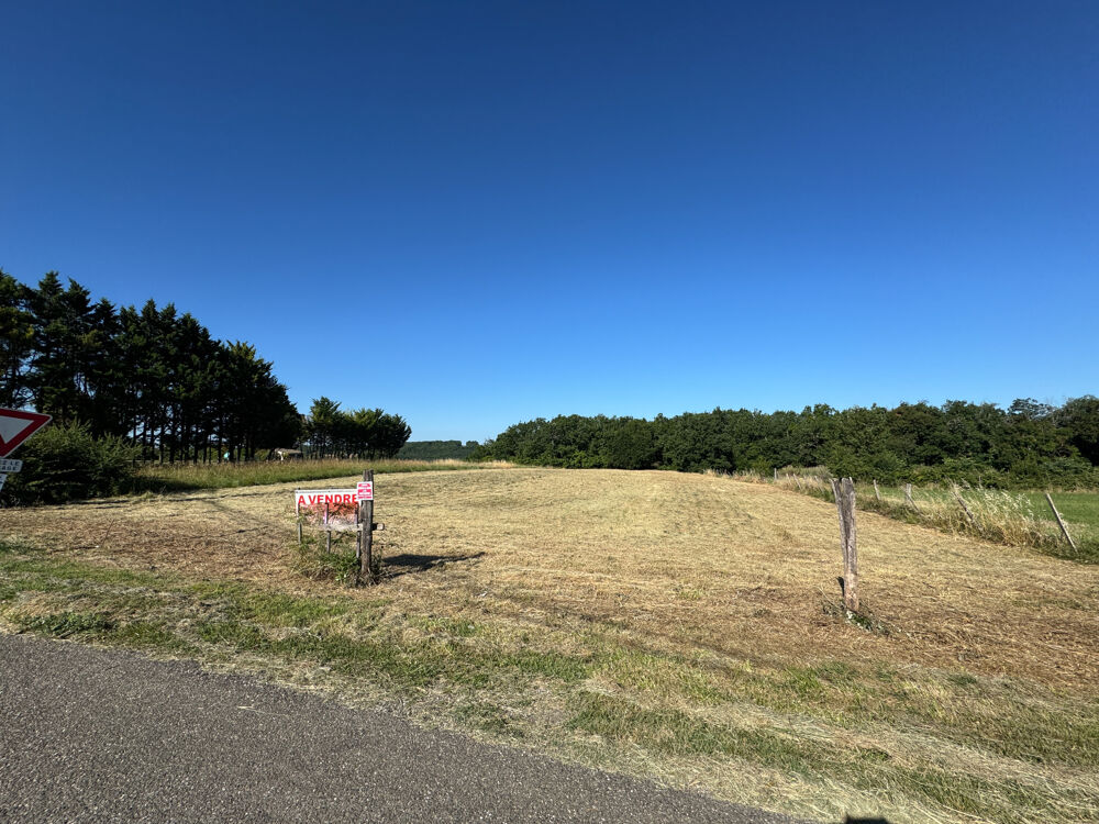 Vente Terrain terrain à batir de 8157 m2 Miramont du quercy