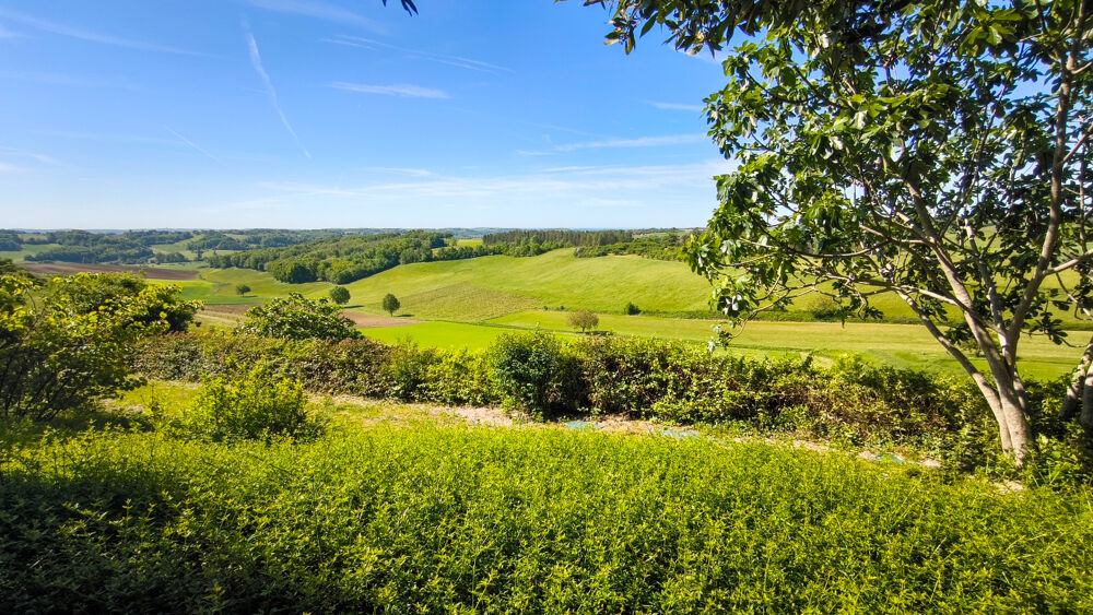 � vendre  Propri�t�/ch�teau Cazes-Mondenard (82110)