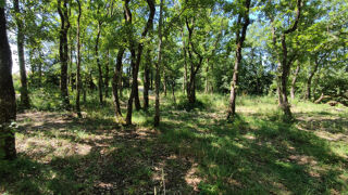  Terrain � vendre 2151 m�
