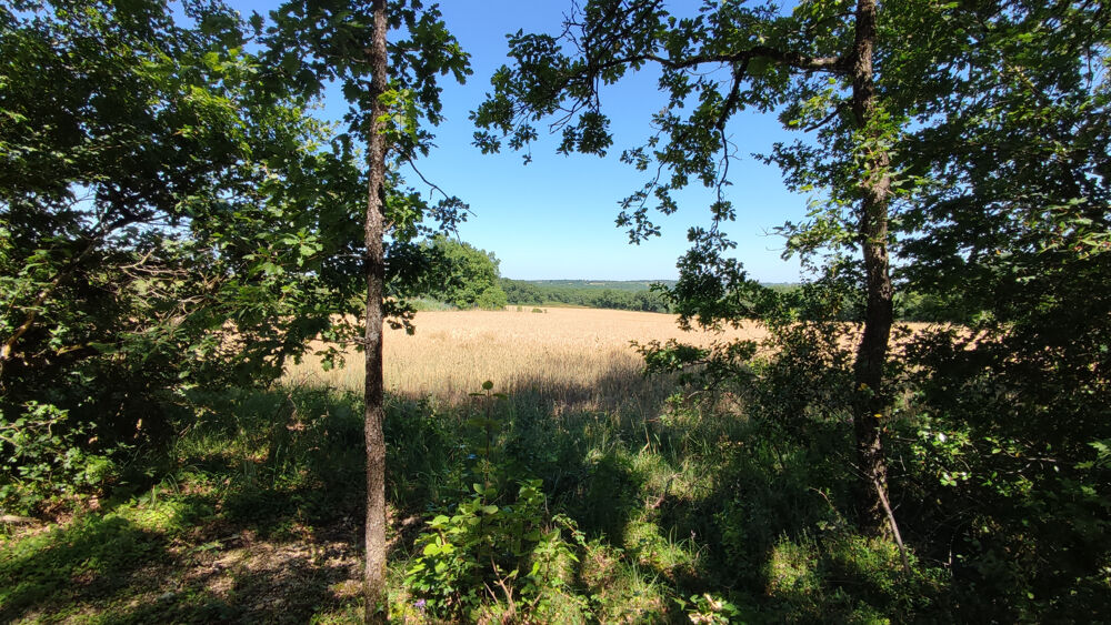 Vente Terrain terrain boisé avec vue dégagée sur la campagne environnante, situé à seulement quelques minutes du centre de M Montaigu de quercy