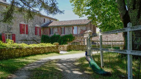   Château du XIIIe siècle au cœur de 35 hectares Propriété/château - 13 pièce(s) - 341300 m²