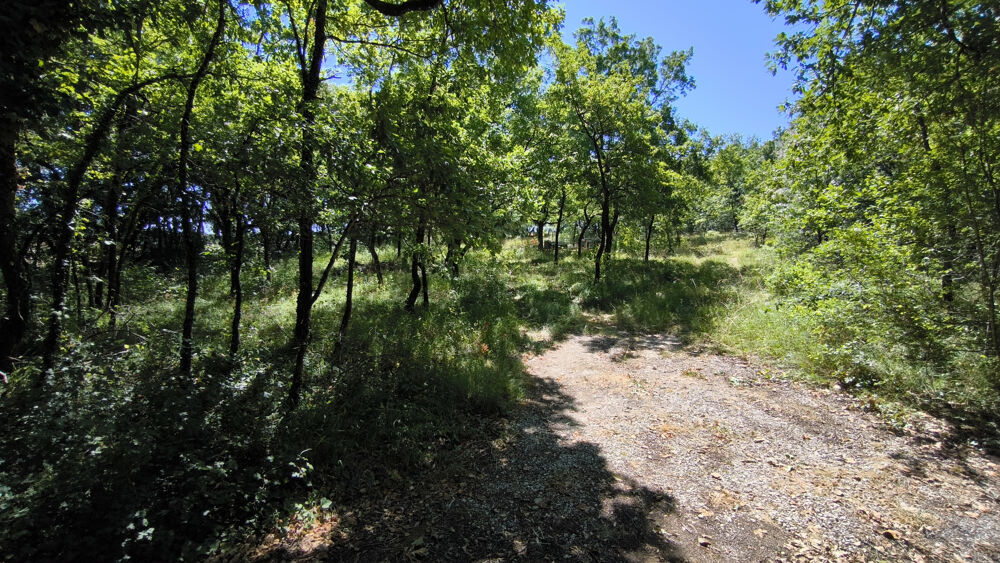 Vente Terrain Terrain plat et boisé. Réseaux présents compteurs à poser. Montcuq en quercy blanc