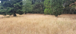  Terrain à vendre 1403 m²