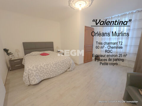   ORLEANS (45)  Murlins   Valentina  Trs charmant T2 60 m2 - Terrasse 25 m2 - 2 Places de parking 
