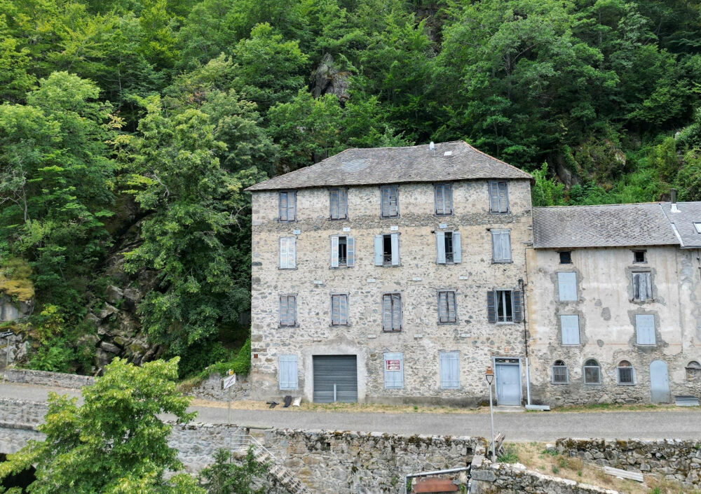 Vente Immeuble IMMEUBLE AVEC SOURCE THERMALE - OPPORTUNITE RARE Carcanieres