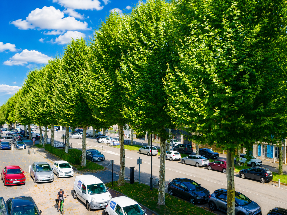 Vente Appartement HONFLEUR CENTRE - BEL APPARTEMENT T2 DE 52 M2 - CHARME, LUMINOSITE ET VIE A PIED - 1ER ETAGE SANS ASCENSEUR - Honfleur