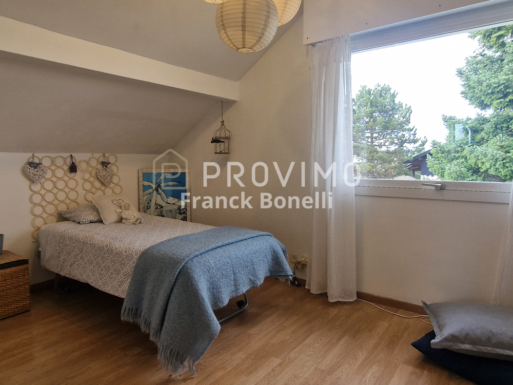 � vendre  Propri�t�/ch�teau Saint-Julien-en-Genevois (74160)