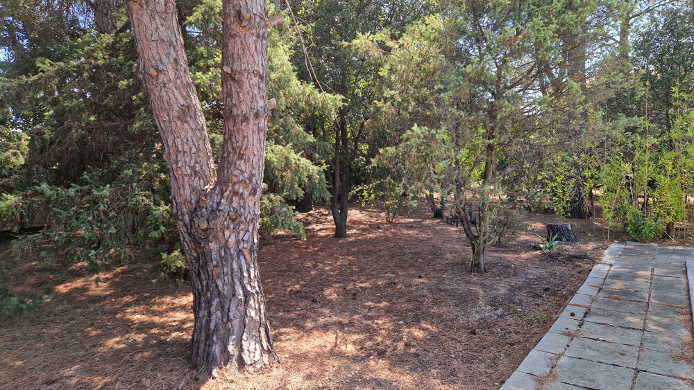 Vente Terrain LANGLADE 1O MINUTES DE NÎMES, TERRAIN VIABILISE Langlade