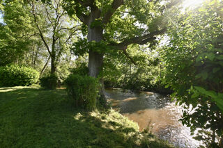  Propri�t�/ch�teau � vendre 15 + pi�ces 378 m�