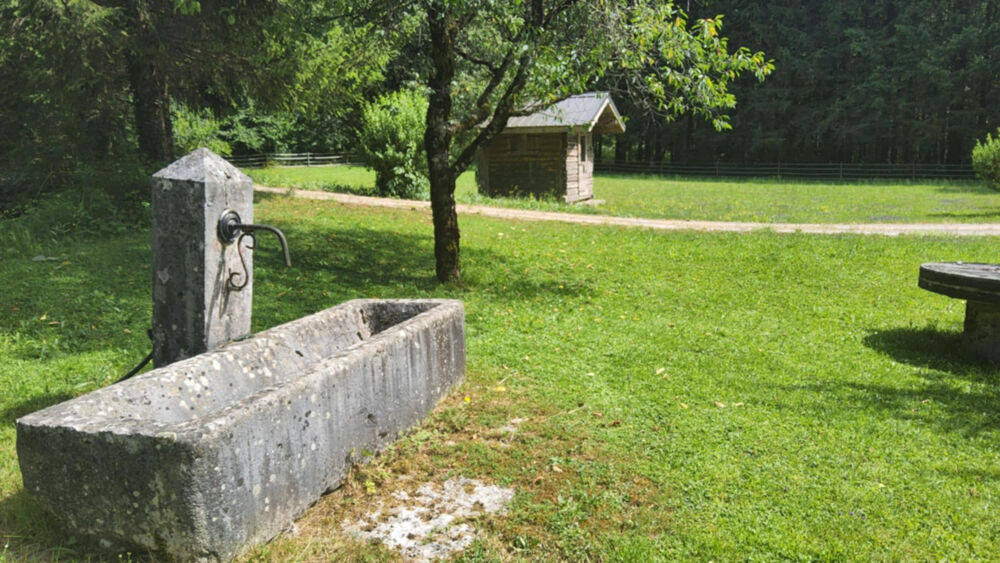 � vendre  Propri�t�/ch�teau Saint-Julien-en-Genevois (74160)