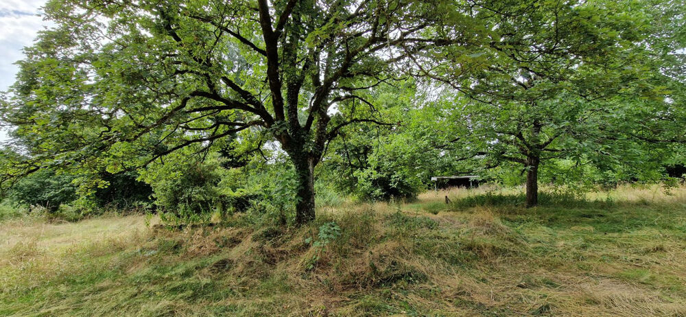 Vente Terrain Terrain constructible TREPT. Trept