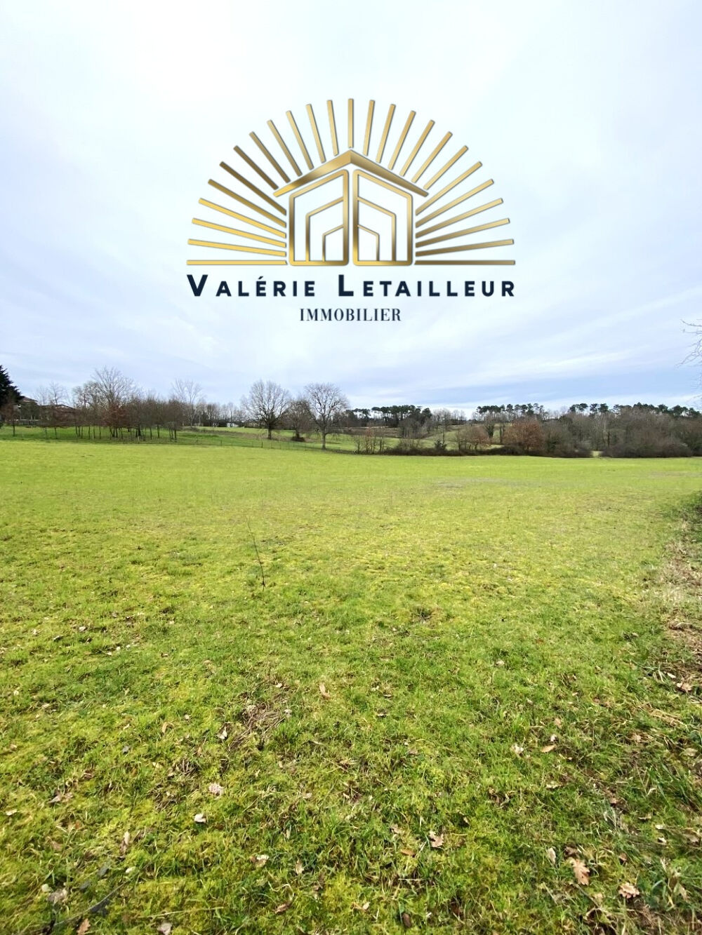 Vente Terrain Magnifique terrain de 2 hectares dont 6400m2 constructible avec vue dégagée Le pizou